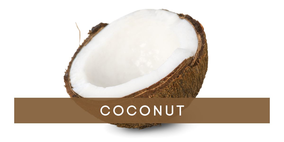 Coconut_2