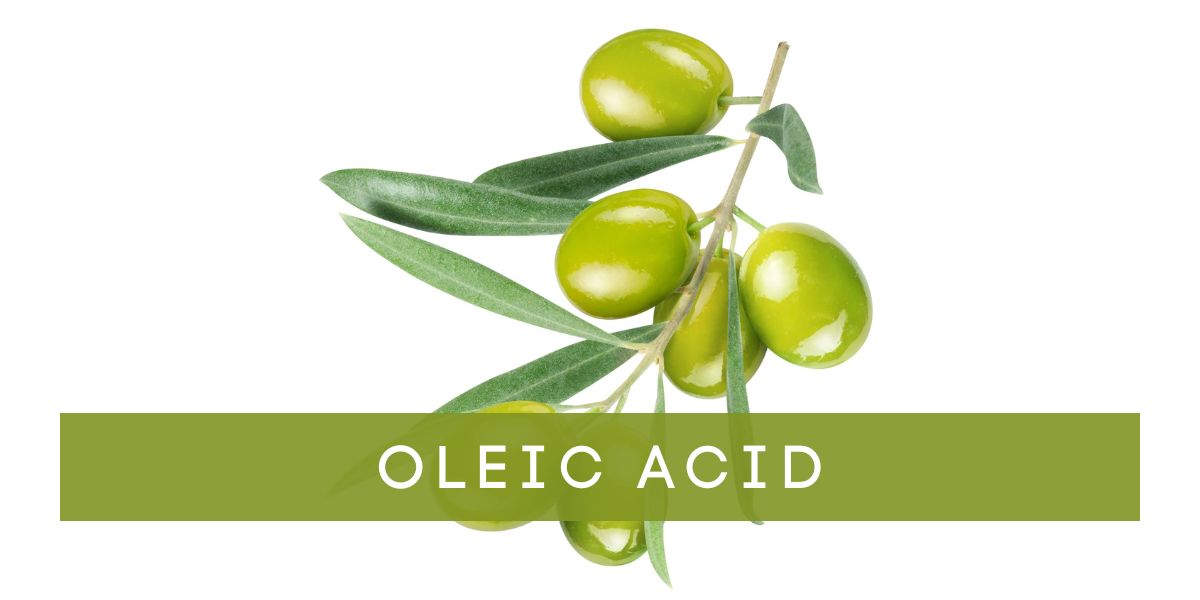 Oleic_Acid_Olives