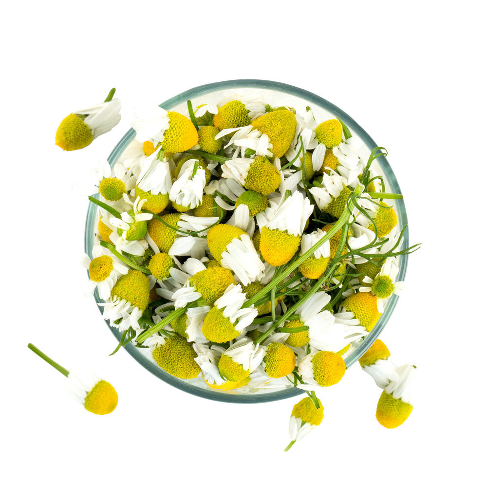 Chamomile