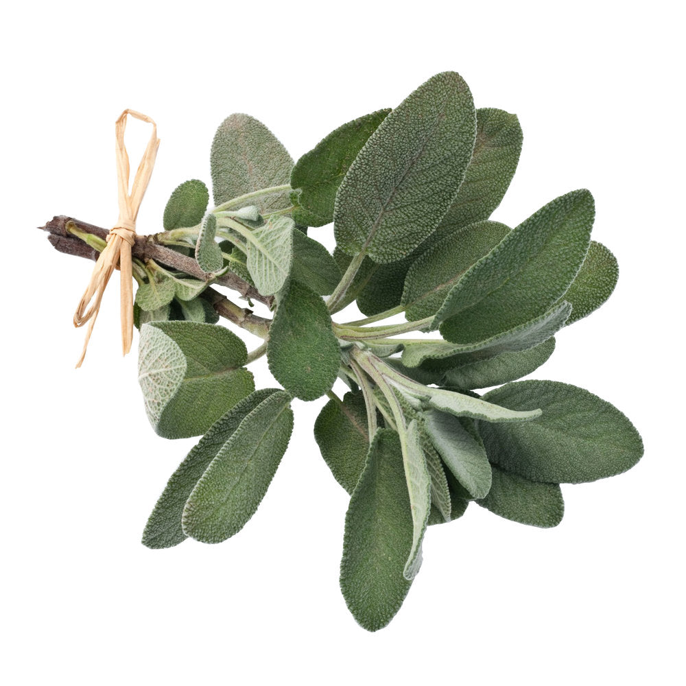 Sage
