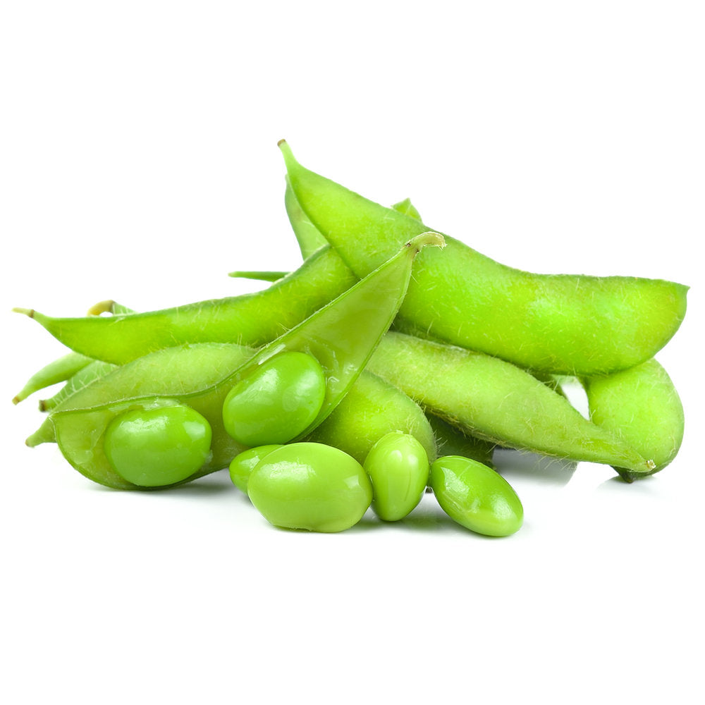 Soybean Oil
