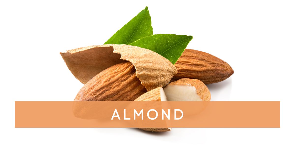 Almond_2