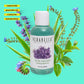 Bottle of Verabella Aloe Azulene Soothing Hydro Gel surrounded by aloe vera leaves and flowers on a teal background.