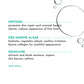 List of skincare ingredients with their benefits on a white background
