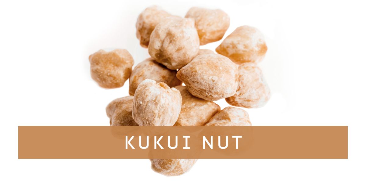 Kukui_Nut