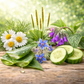 Key ingredients in VERABELLA Cucumber Aloe MoistureScreen