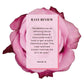 Rave Review - Verabella has an amazing facial called Roses & Chocolate