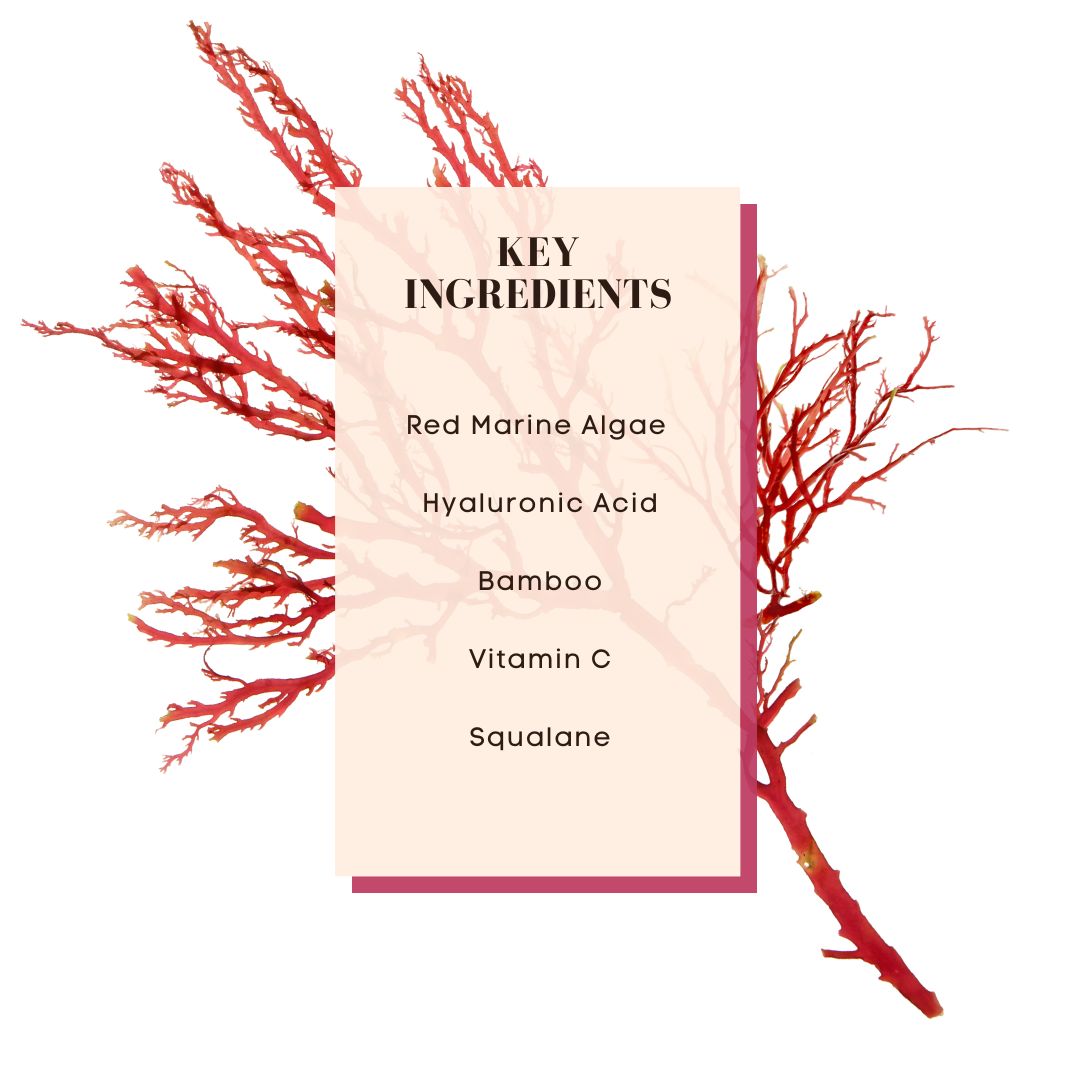 Rapid Response key ingredients: red marine algae