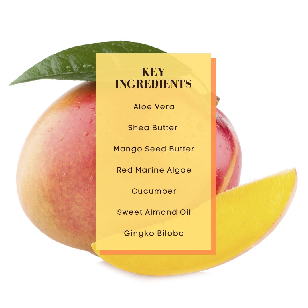 Key ingredients of Shea Body Butter 